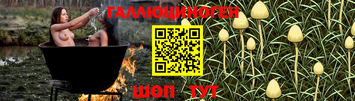 Галлюциногенные грибы мицелий Верхний Уфалей