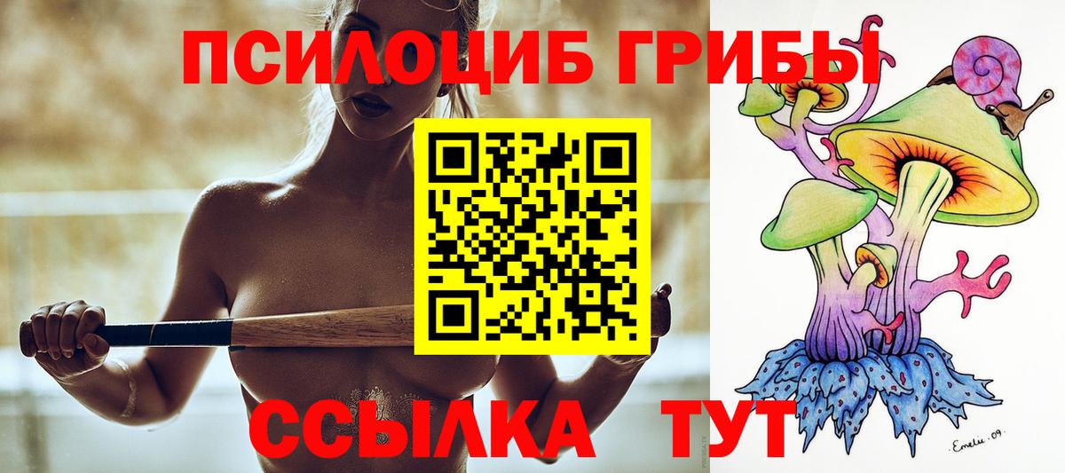 Псилоцибиновые грибы MAGIC MUSHROOMS  Вход с VPN  Верхний Уфалей 